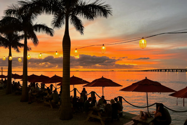 An orange sunset behind palm trees and picnic tables overlooking the bay