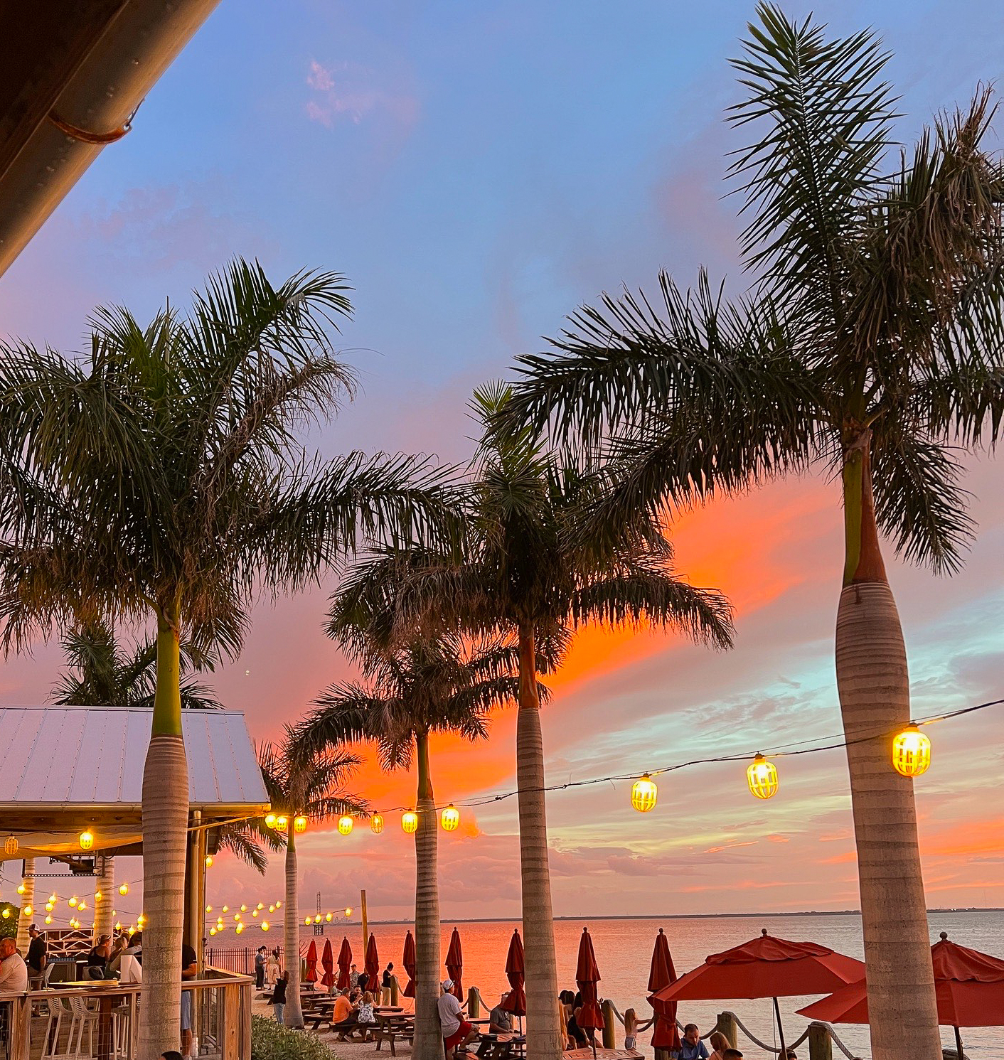 Soak Up the Island Vibes at This Waterfront Restaurant in Tampa: Salt Shack on the Bay