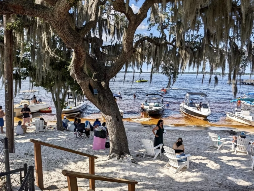 Boats are anchored on the shore of Lake Minneola