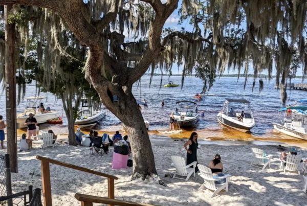 Boats are anchored on the shore of Lake Minneola