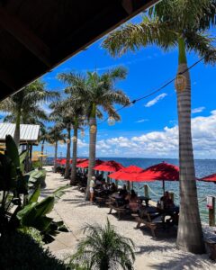 Red umbrellas line the sand at Salt Shack overlooking Tampa Bay