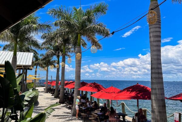 Red umbrellas line the sand at Salt Shack overlooking Tampa Bay