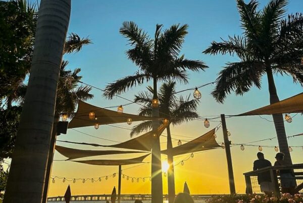 Dining Spots in Tampa Bay