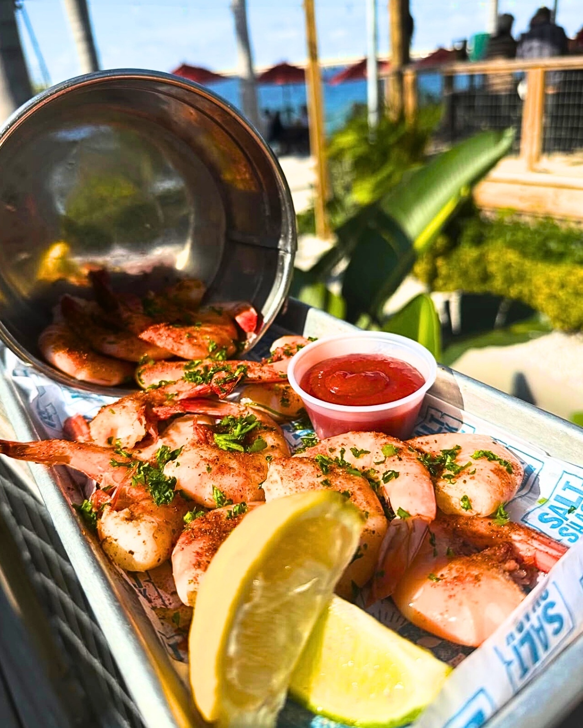 Salt Shack on the Bay Named 1 of 3 restaurants in Tampa / St. Pete to Consistently Serve Wild-Caught Shrimp