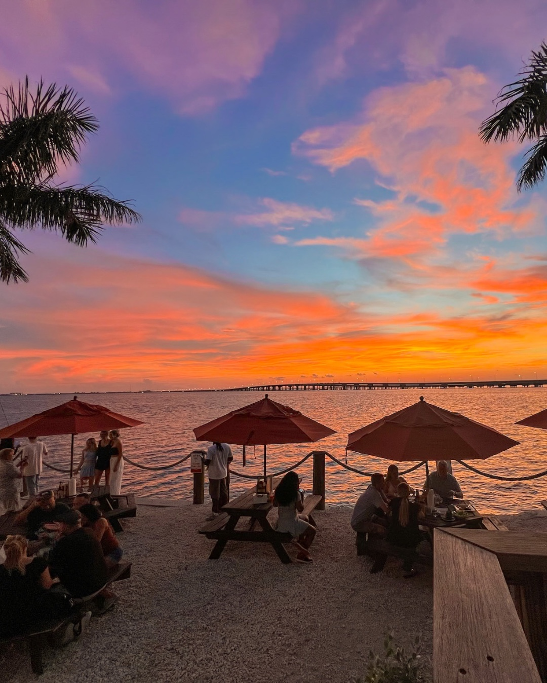 The Best Waterfront Restaurants in Tampa for Sunset Dining: Why Salt Shack on the Bay Should Be Your First Stop